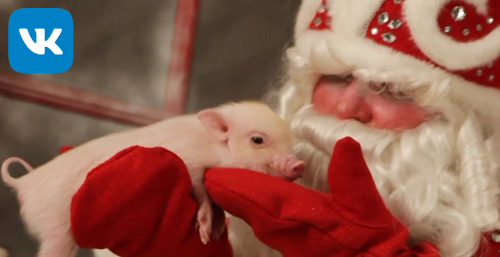 ��� ����� � ���������� � ���������